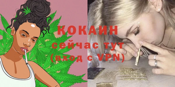 прущие грибы Няндома