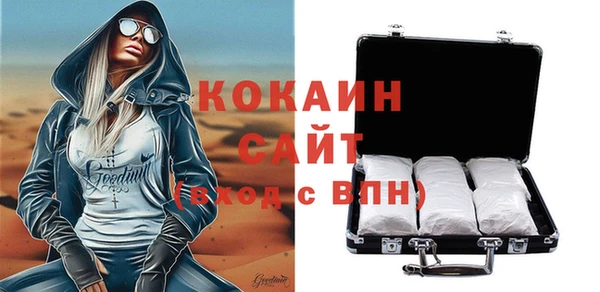 прущие грибы Няндома